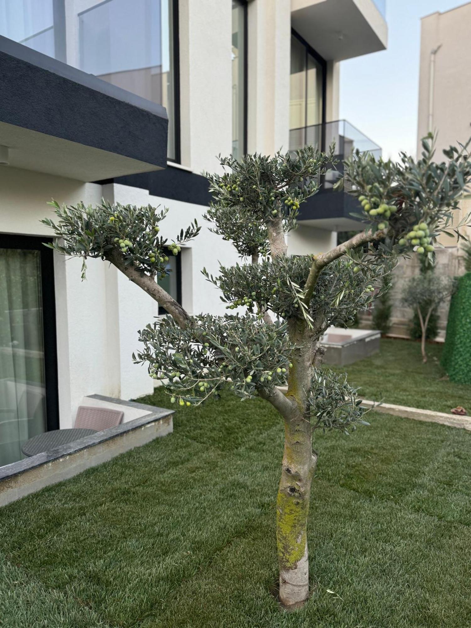 Twins Hotel Vlore Exterior photo